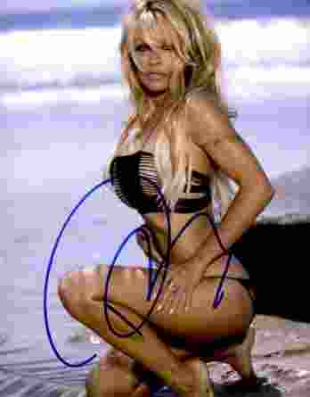 Pamela Anderson authentic signed 8x10 picture