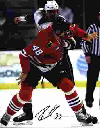 NHL David Koci signed 8x10 photo