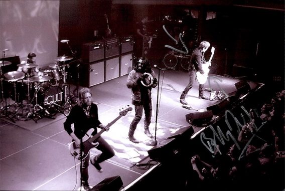 Billy Duffy authentic signed 8x10 picture