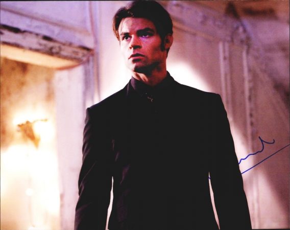 Daniel Gillies authentic signed 8x10 picture