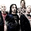 Stone Sour authentic signed 8x10 picture