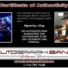 J-Dog of Hollywood Undead proof of signing certificate