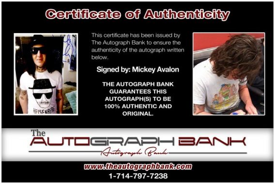 Mickey Avalon proof of signing certificate