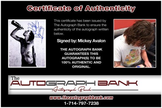 Mickey Avalon proof of signing certificate