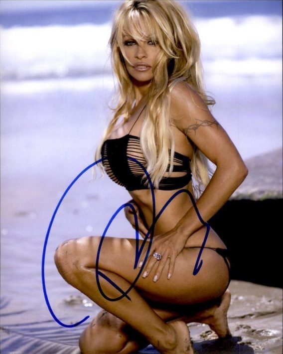 Pamela Anderson authentic signed 8x10 picture