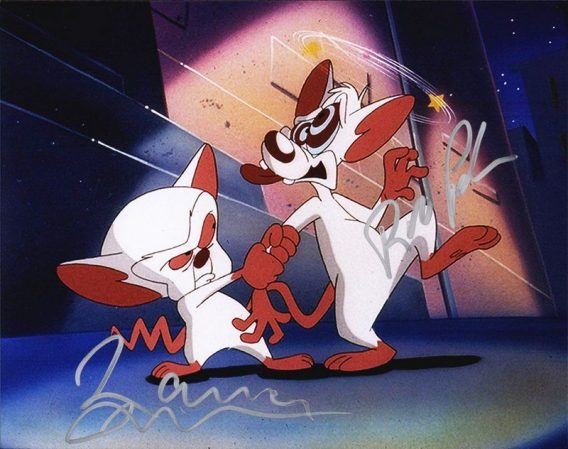 Rob Paulsen authentic signed 8x10 picture
