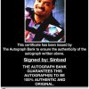 Sinbad proof of signing certificate