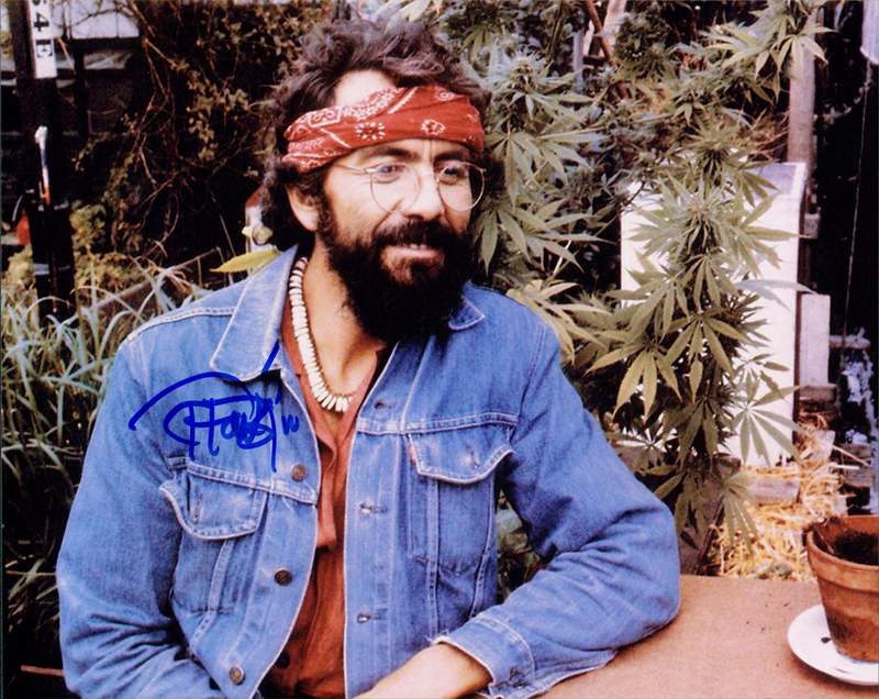 Tommy Chong autographed photo. 