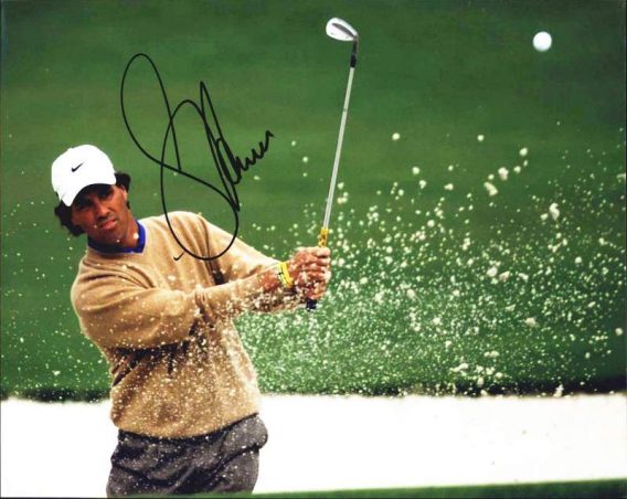 Stephen Ames authentic signed 8x10 picture