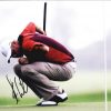 Stewart Cink authentic signed 8x10 picture