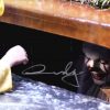 Andres Muschietti authentic signed 8x10 picture