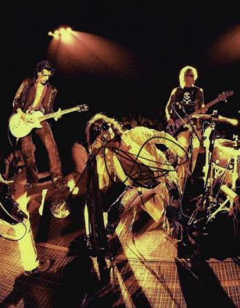 Steven Tyler authentic signed 10x15 picture