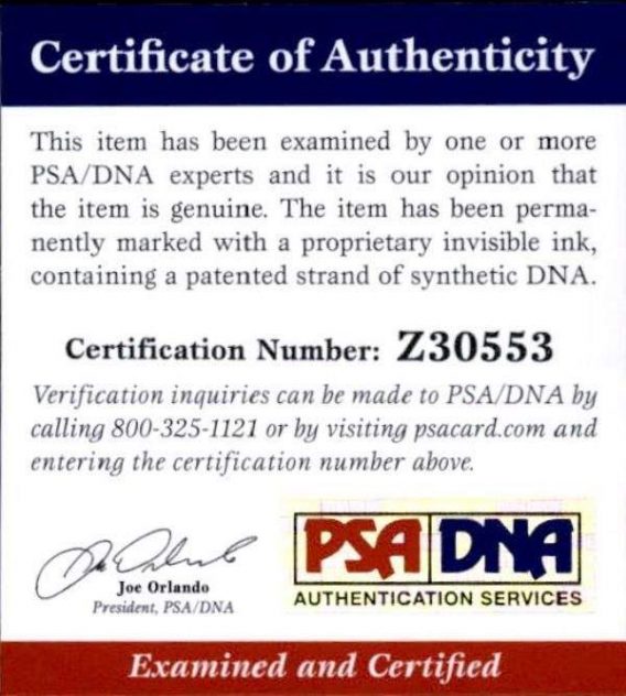Charli Xcx certificate of authenticity from the autograph bank