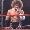 Carlito Cool authentic signed WWE wrestling 8x10 photo W/Cert Autographed 02 signed 8x10 photo