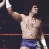 Carlito Cool authentic signed WWE wrestling 8x10 photo W/Cert Autographed 06 signed 8x10 photo