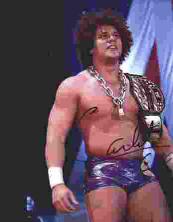 Carlito Cool authentic signed WWE wrestling 8x10 photo W/Cert Autographed 18 signed 8x10 photo