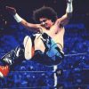 Carlito Cool authentic signed WWE wrestling 8x10 photo W/Cert Autographed 19 signed 8x10 photo
