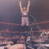 Devon Dudley authentic signed WWE wrestling 8x10 photo W/Cert Autographed (84 signed 8x10 photo