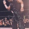 Devon Dudley authentic signed WWE wrestling 8x10 photo W/Cert Autographed (86 signed 8x10 photo