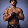 Johnny The-Bull authentic signed WWE wrestling 8x10 photo W/Cert Autographed 09 signed 8x10 photo