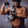 Johnny The-Bull authentic signed WWE wrestling 8x10 photo W/Cert Autographed 20 signed 8x10 photo