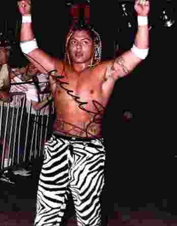 Juventud Guerrera authentic signed WWE wrestling 8x10 photo W/Cert Autographed 01 signed 8x10 photo
