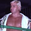 Pat Patterson authentic signed WWE wrestling 8x10 photo W/Cert Autographed 01 signed 8x10 photo