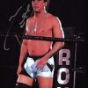 Paul London authentic signed WWE wrestling 8x10 photo W/Cert Autographed 17 signed 8x10 photo