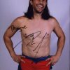 Paul London authentic signed WWE wrestling 8x10 photo W/Cert Autographed 18 signed 8x10 photo
