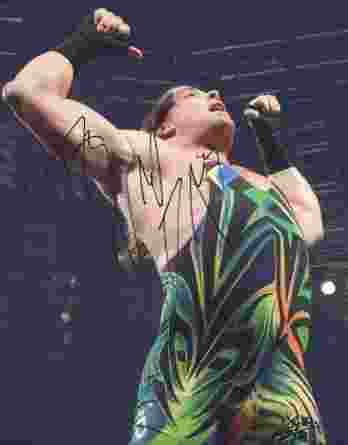 Rob Van-Dam authentic signed WWE wrestling 8x10 photo W/Cert Autographed 09 signed 8x10 photo