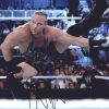 Rob Van-Dam authentic signed WWE wrestling 8x10 photo W/Cert Autographed 37 signed 8x10 photo
