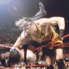 Rob Van-Dam authentic signed WWE wrestling 8x10 photo W/Cert Autographed 78 signed 8x10 photo