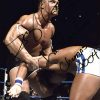 Sylvain Grenier authentic signed WWE wrestling 8x10 photo W/Cert Autographed 07 signed 8x10 photo
