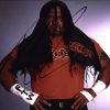 Tazz Taz authentic signed WWE wrestling 8x10 photo W/Cert Autographed 02 signed 8x10 photo
