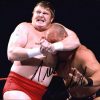 Trevor Murdoch authentic signed WWE wrestling 8x10 photo W/Cert Autographed 34 signed 8x10 photo