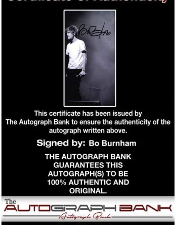 Bo Burnham Fake Id Tour Full