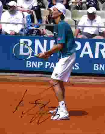 Tennis player Andreas Seppi signed 8x10 photo