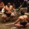 Sumo wrestler Harumafuji Kohei signed 8x10 photo