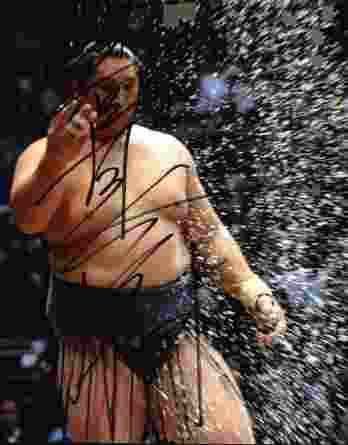 Sumo wrestler Homasho Noriyuki signed 8x10 photo