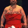 Sumo wrestler Iwakiyama Ryuta signed 8x10 photo