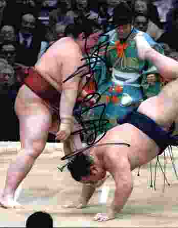 Sumo wrestler Kisenosato Yutaka signed 8x10 photo