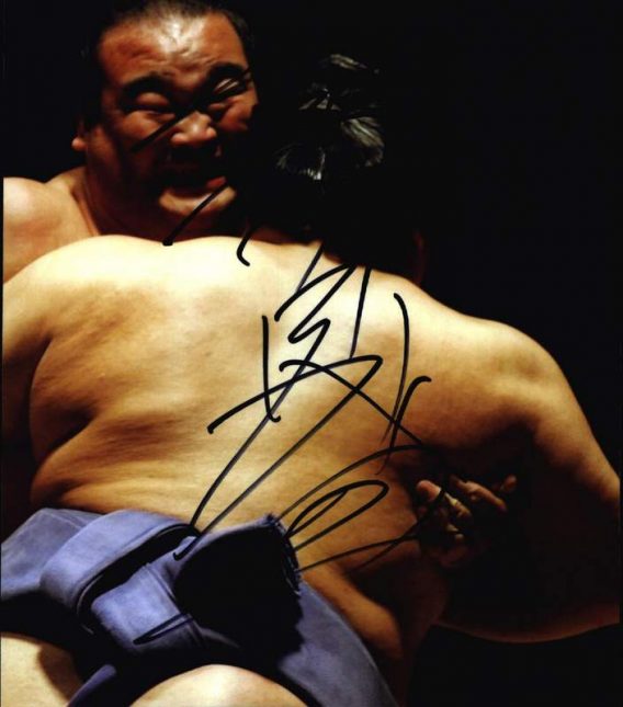 Sumo wrestler Takamisakari Seiken signed 8x10 photo